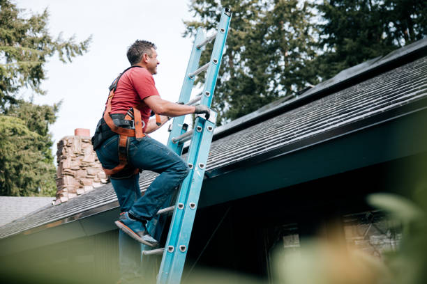 Best Gutter Replacement  in Dunlap, OH